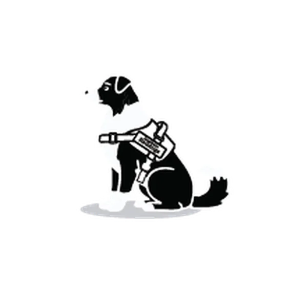 Emblema em branco, uma cor