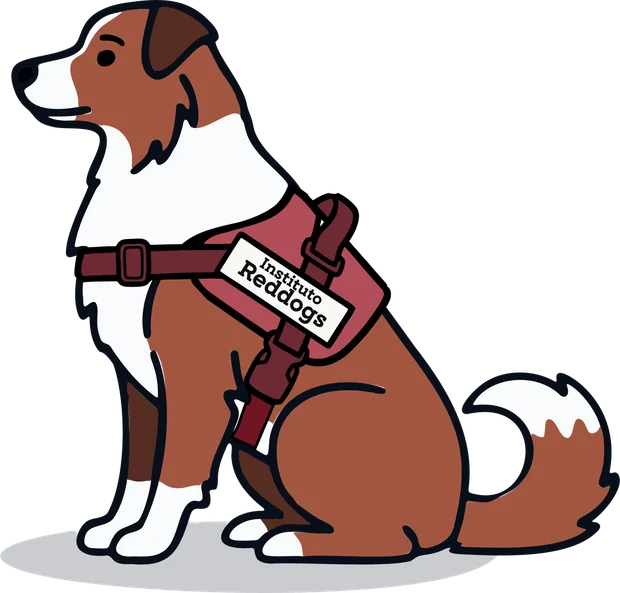 Cão ilustrado em pelagem natural marrom e branca, sentado, de colete